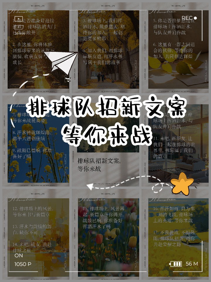 包含新赛季开启，球队阵容调整迎接挑战的词条