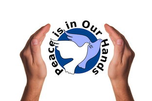 安博体育在线-决赛教练战术对决吸引全球关注，比赛中教练挑战是什么意思  第2张